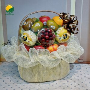Giỏ Quà Trái Cây G031